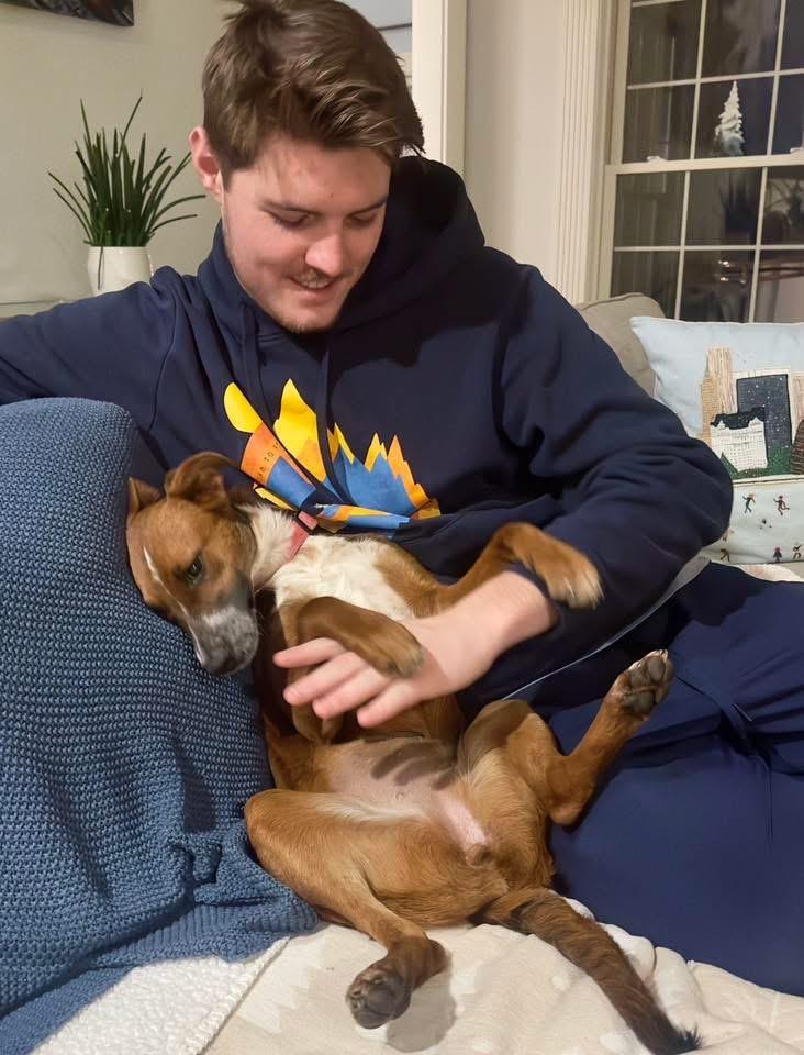 Enlarge Jody, a Adoptable mixed breed in Bristol, WI image 2/6