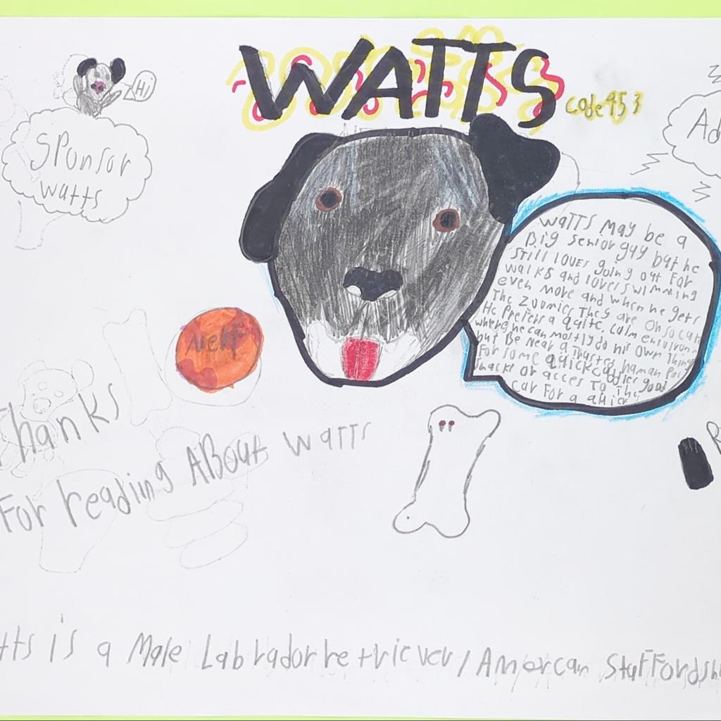 Watts, a Adoptable mixed breed in Kanab, UT image 3/5