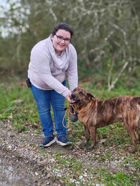 Enlarge Austin, a Adoptable mixed breed in Abingdon, VA image 4/4