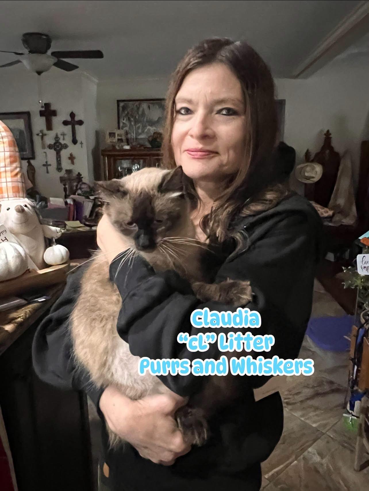 Enlarge Claudia, a Adopted Domestic Short Hair in New Hartford, NY image 1/2