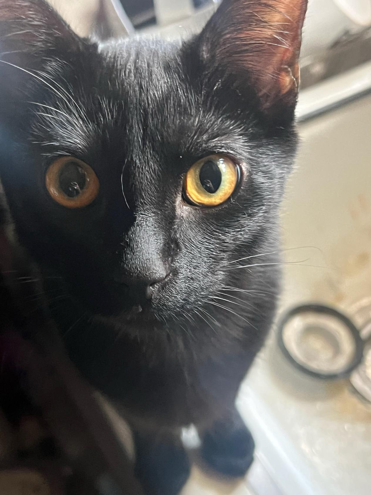 Rocky