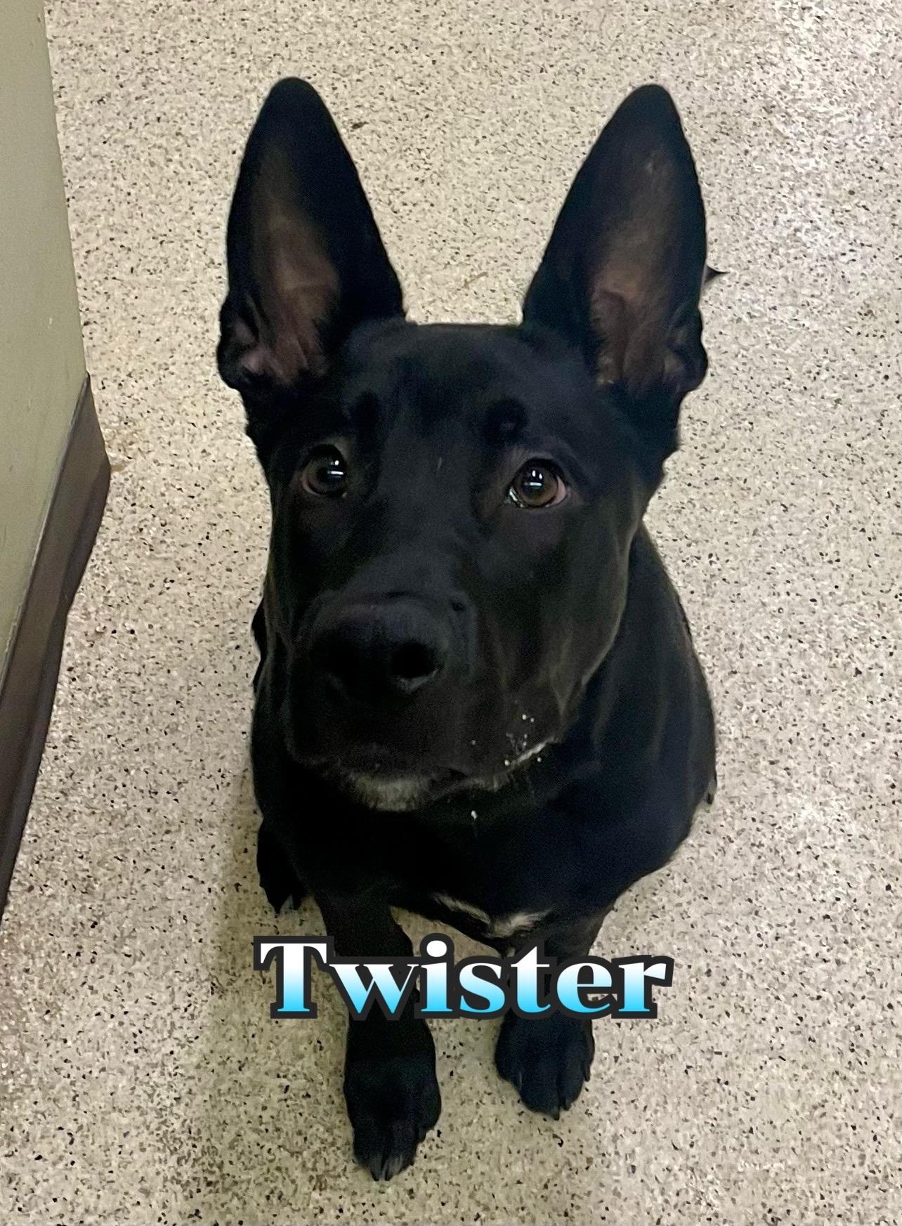 Twister