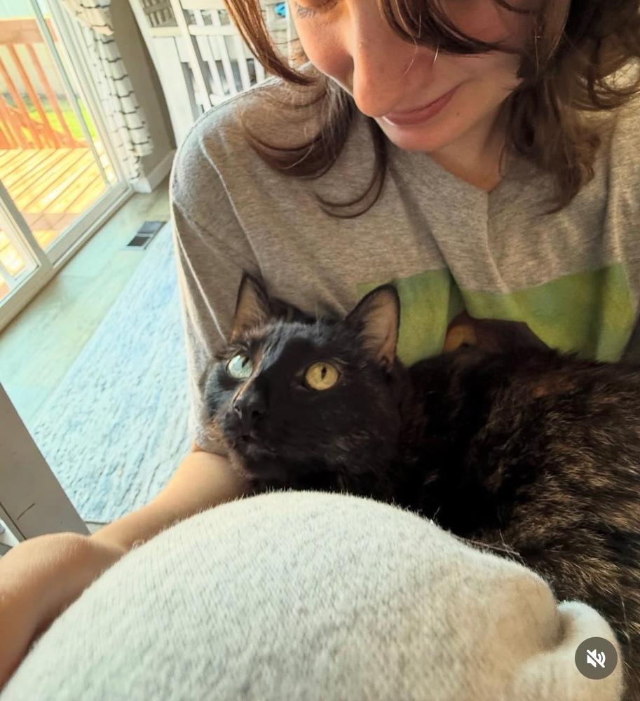 Enlarge Lucy, a Adoptable mixed breed in Spokane , WA image 2/4