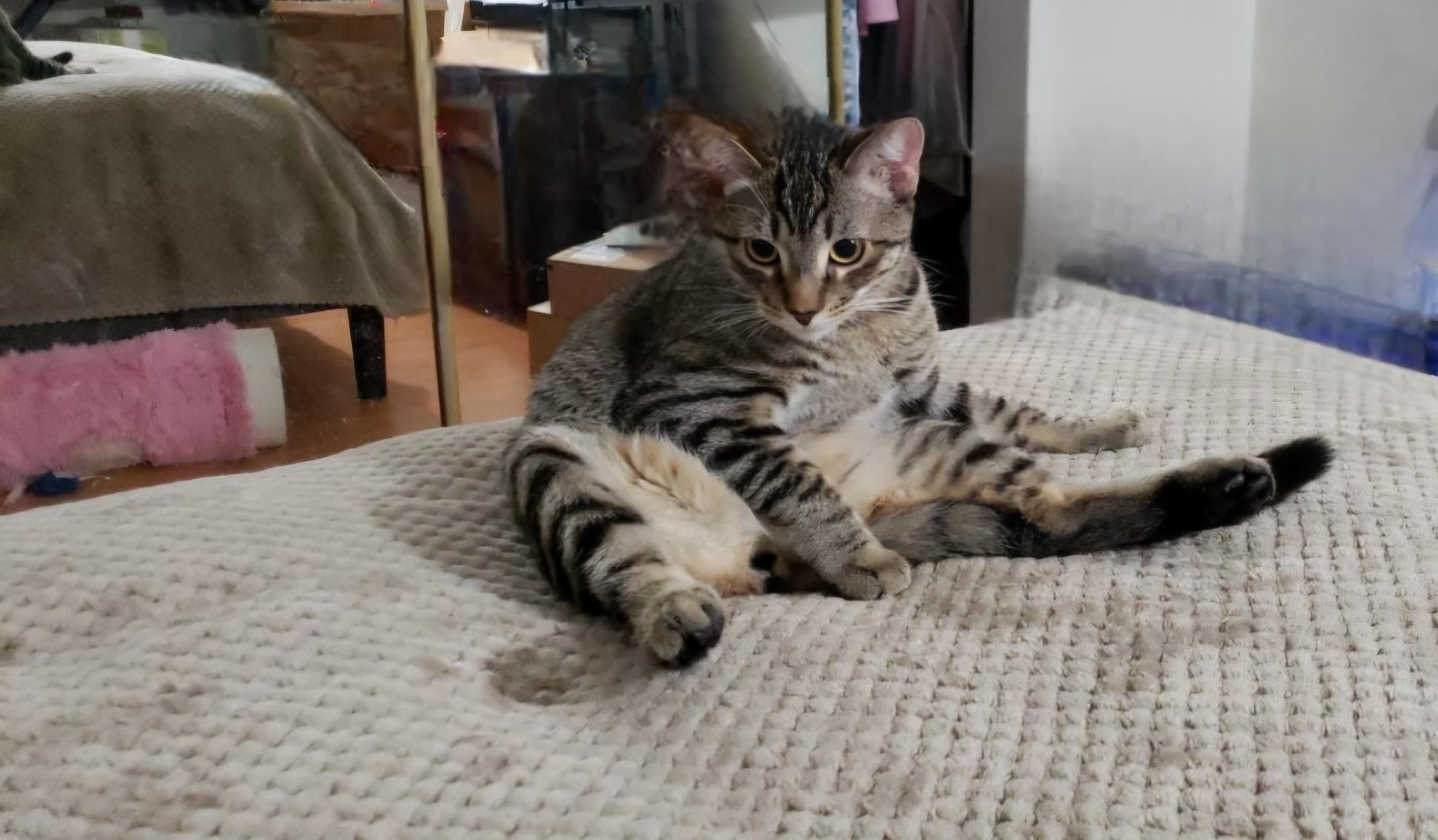Oliver (Olie)