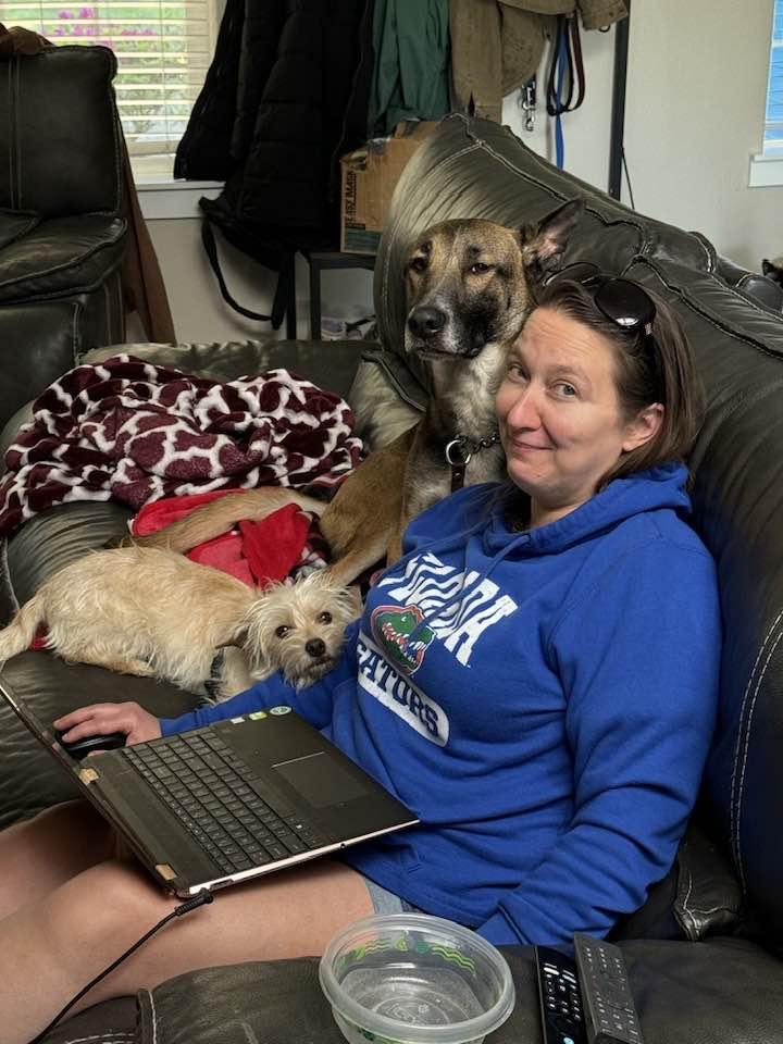 Leo, a Adoptable German Shepherd Dog in Bothell, WA image 2/3