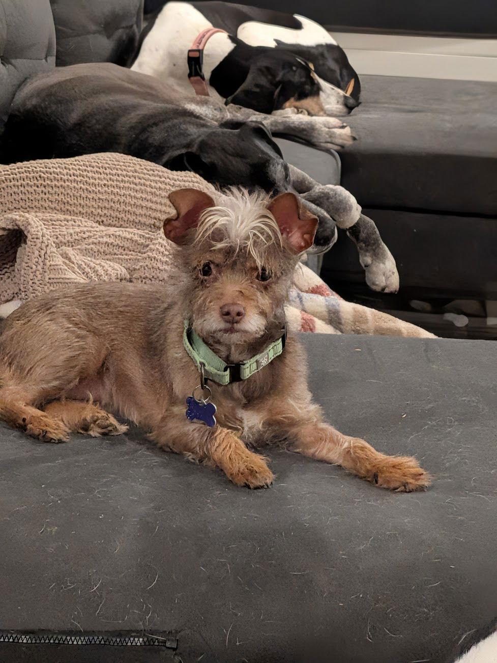 Charlene thumbnail 3