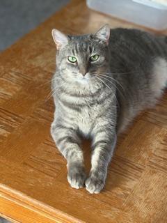 Maurice