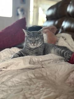 Maurice