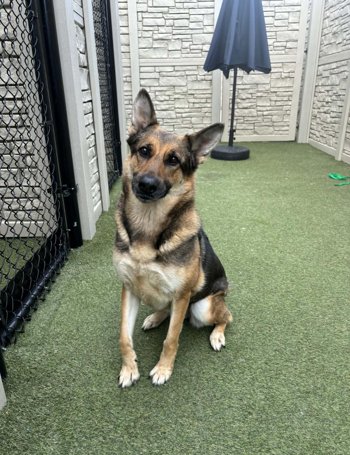 Patricia — thumbnail 3