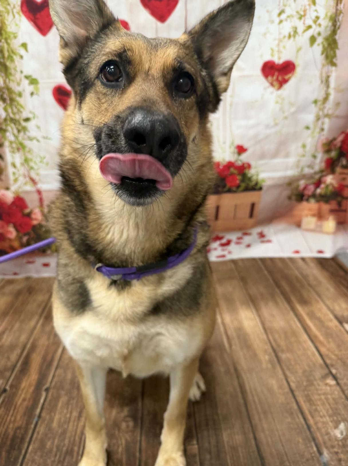 Patricia — thumbnail 5