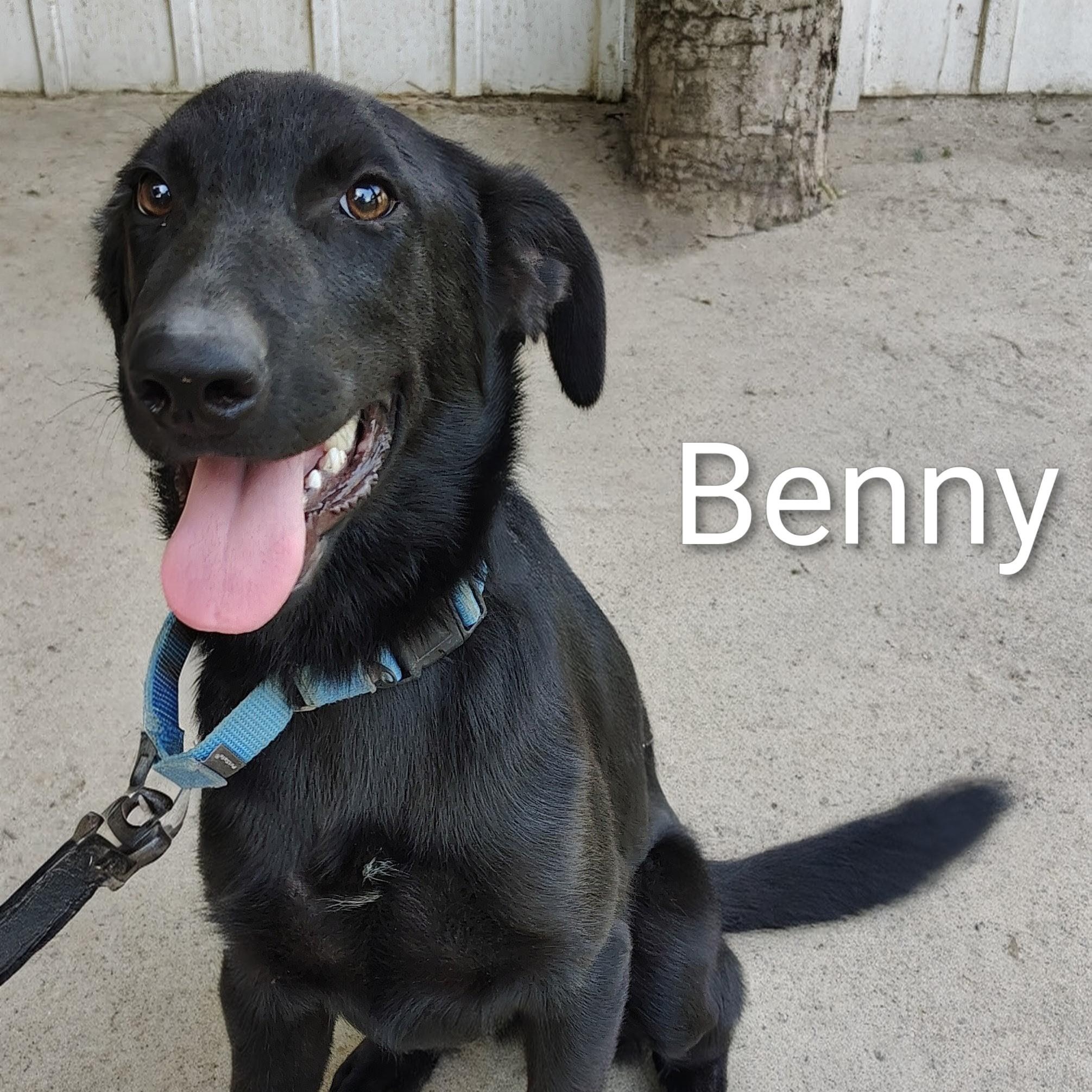 Benny