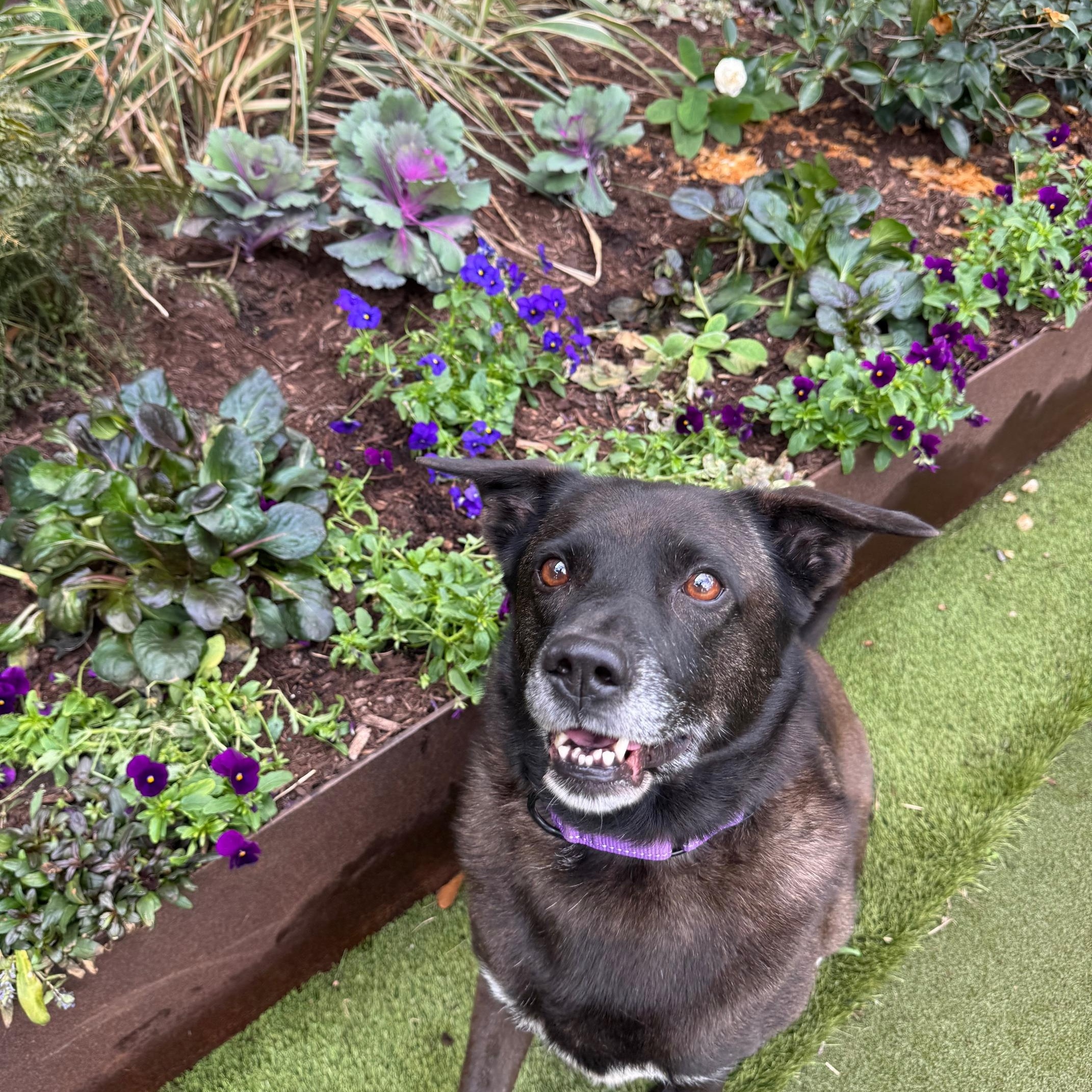 Funny Middle Aged Mildred thumbnail 2