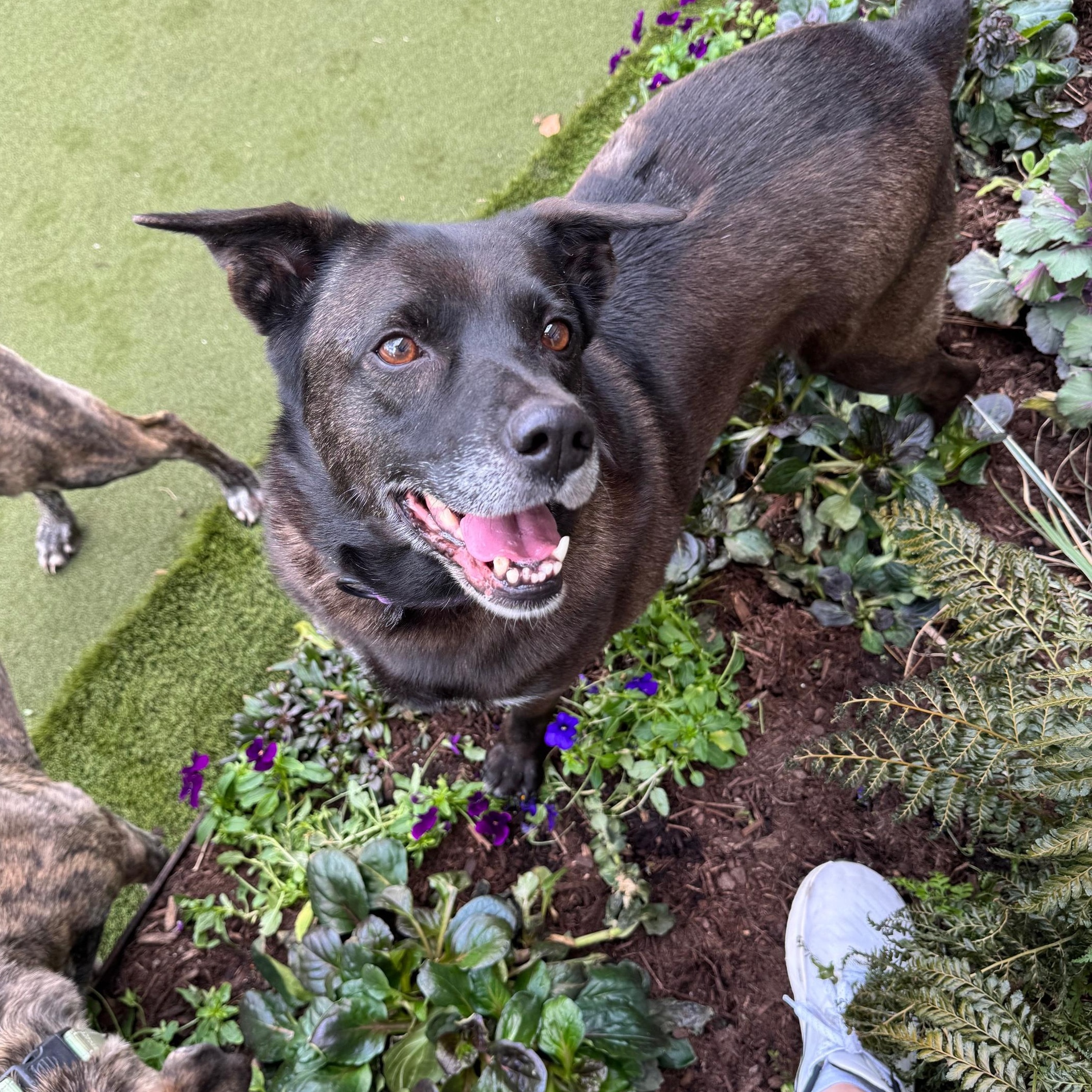 Funny Middle Aged Mildred thumbnail 4