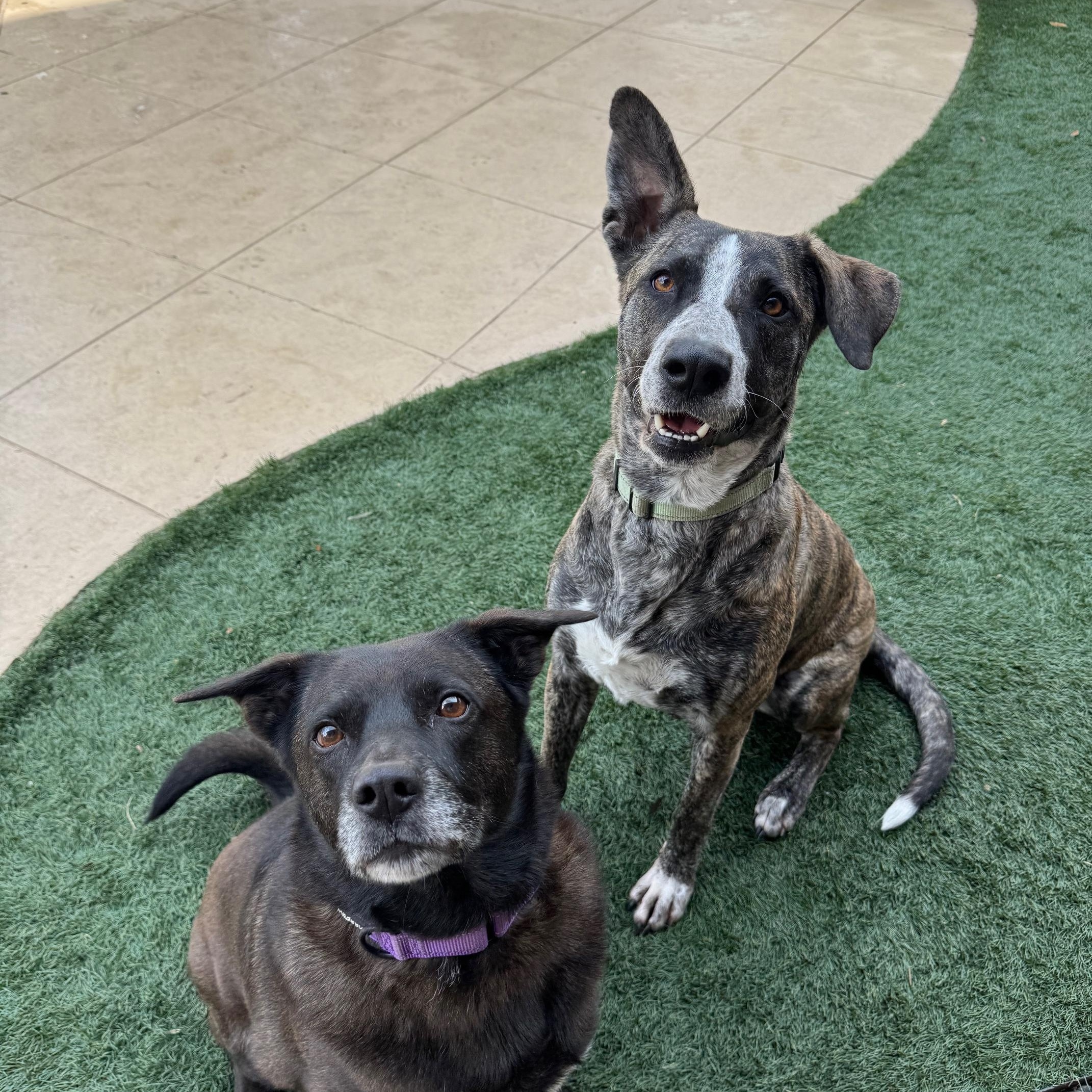 Funny Middle Aged Mildred thumbnail 5