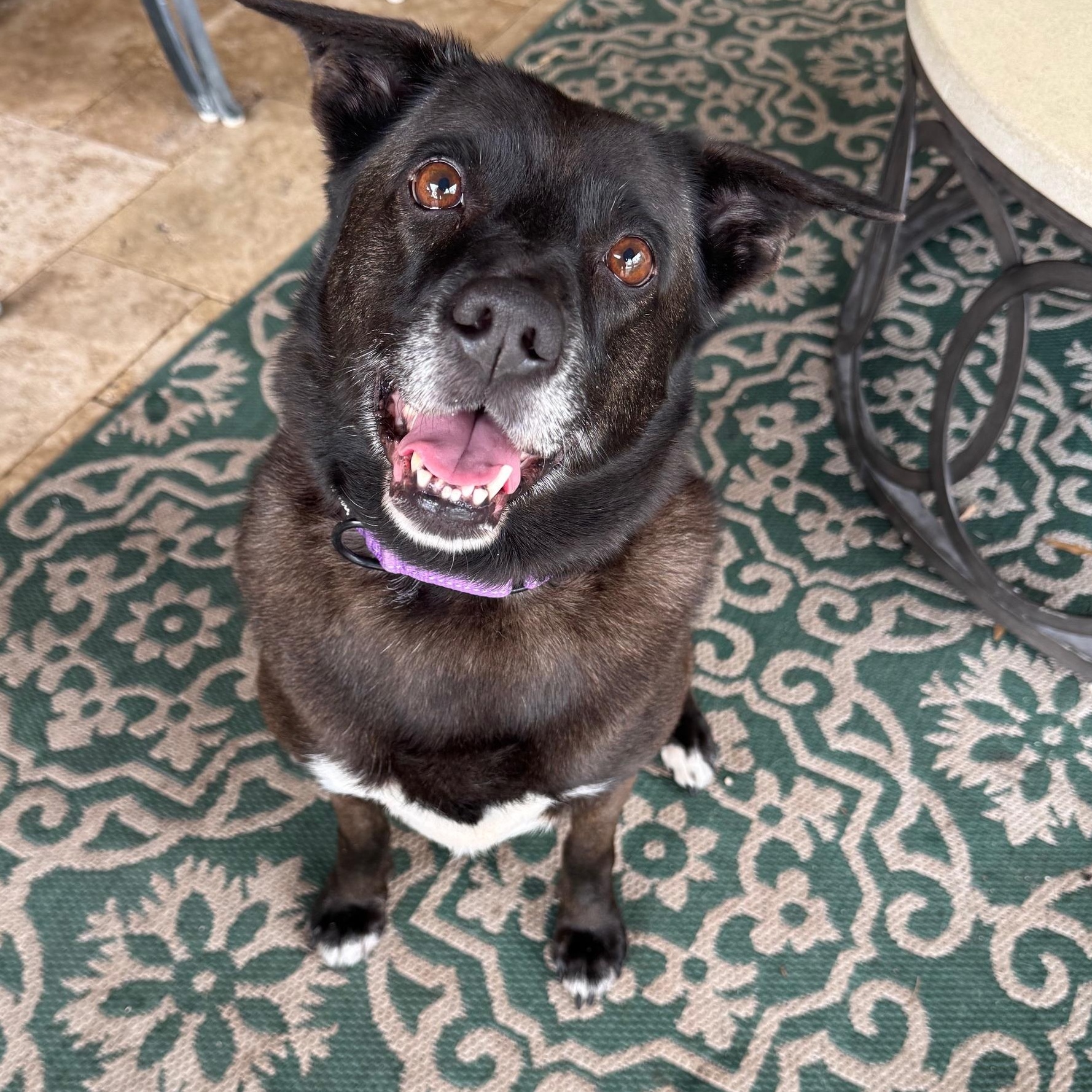 Funny Middle Aged Mildred thumbnail 6