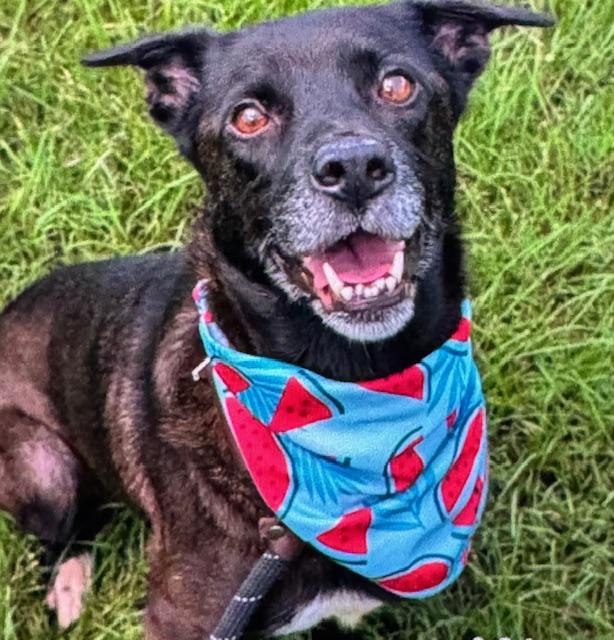 Funny Middle Aged Mildred