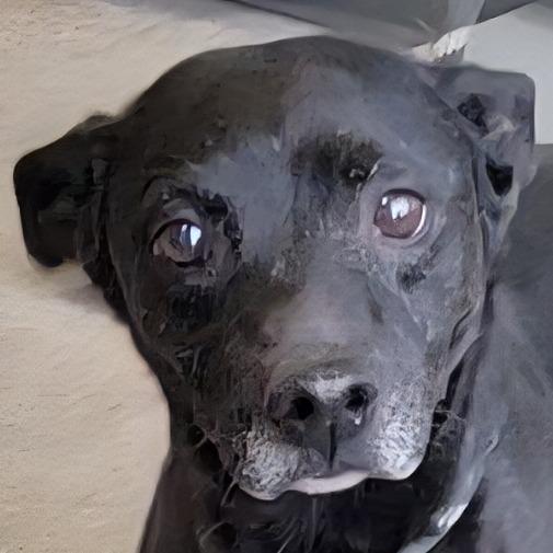 Smokey — thumbnail 5