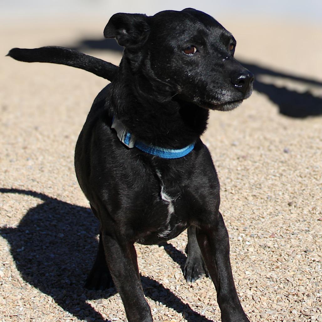 Smokey — thumbnail 6