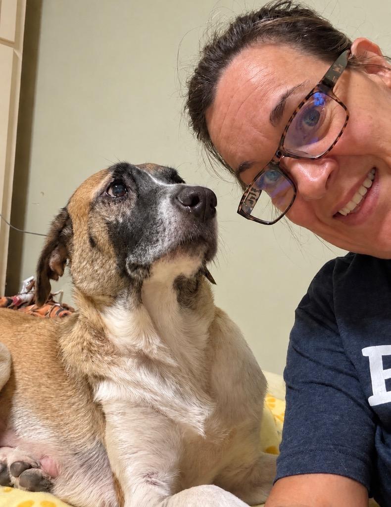 Enlarge Calypso, a Adoptable mixed breed in Princeton, MA image 2/6