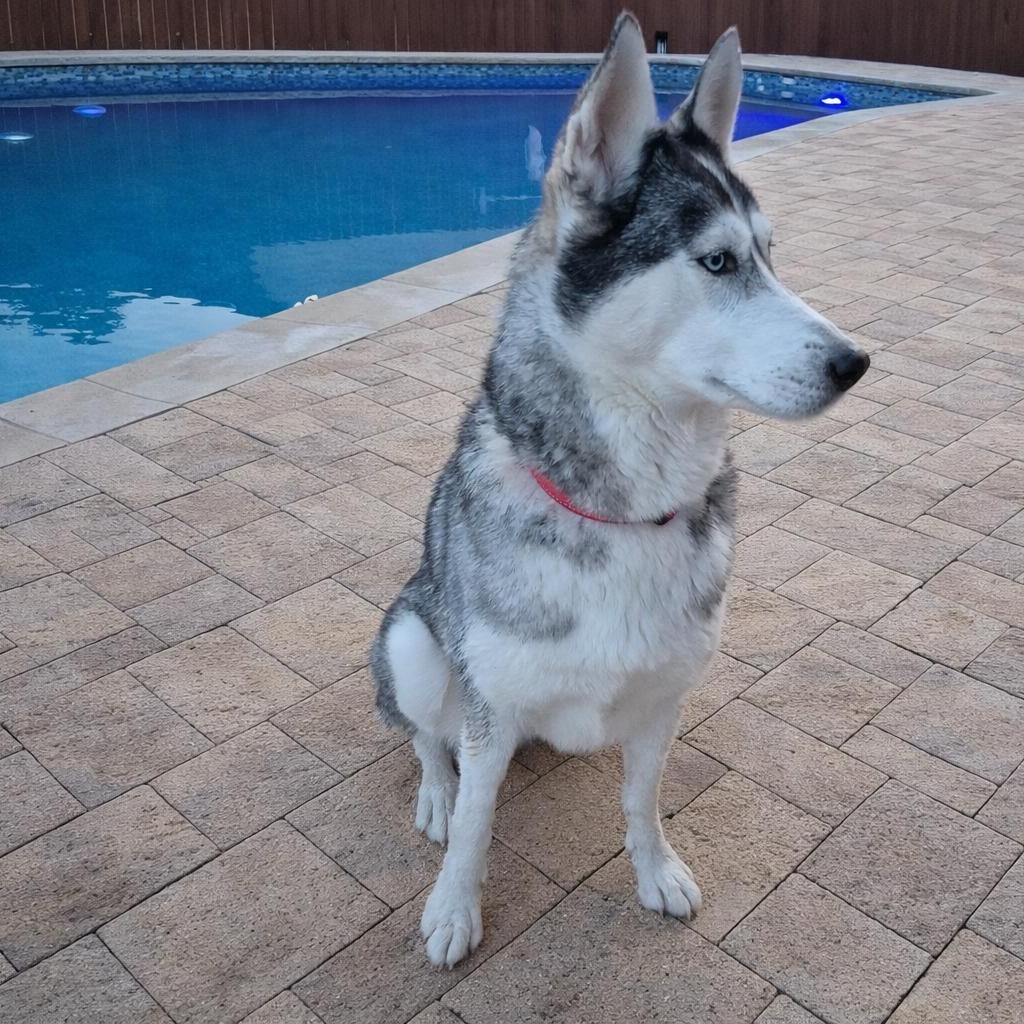 Rhea — thumbnail 3