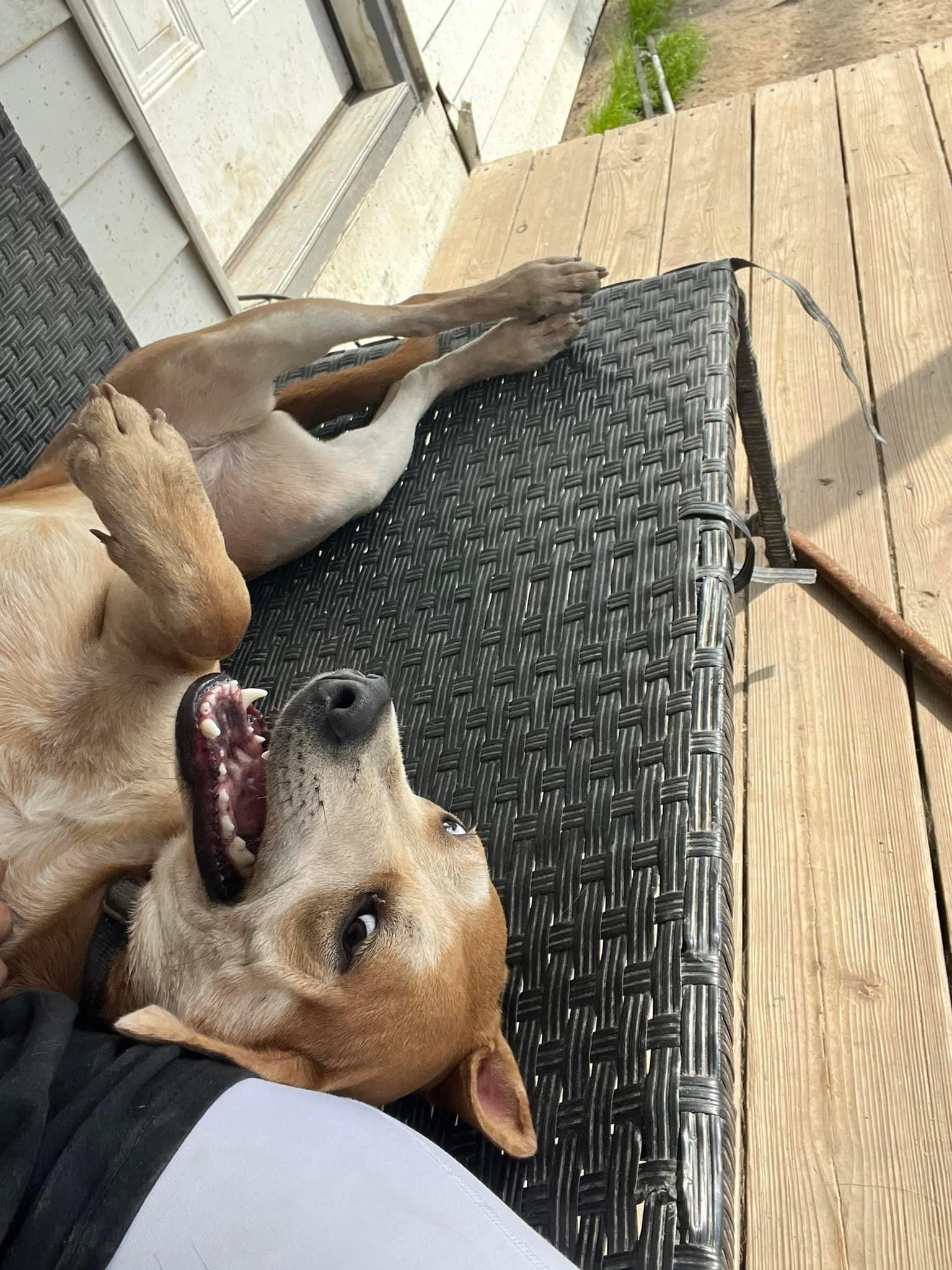 Sierra photo 2