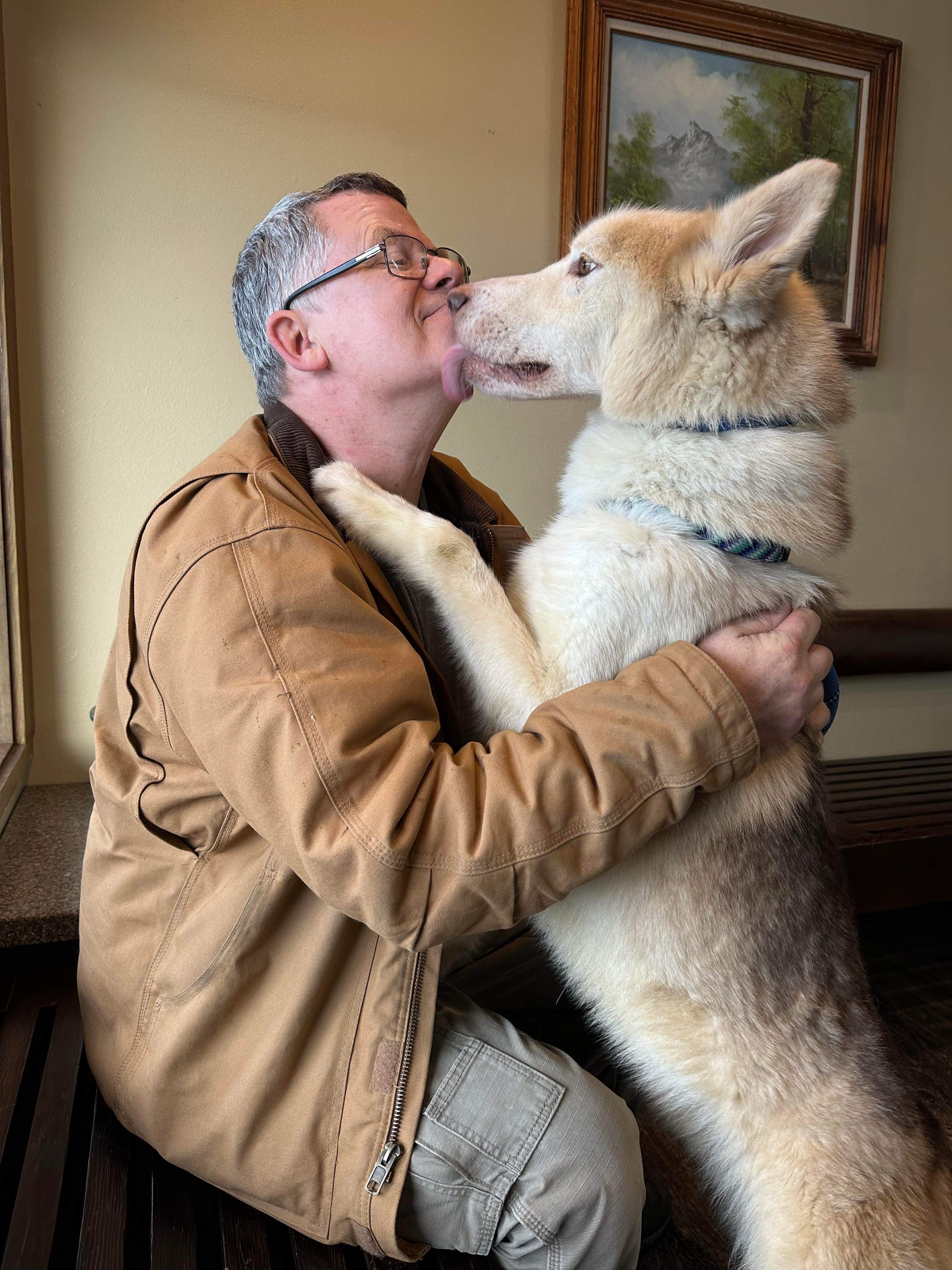 Lokie, a Adoptable mixed breed in Roseburg, OR image 3/4