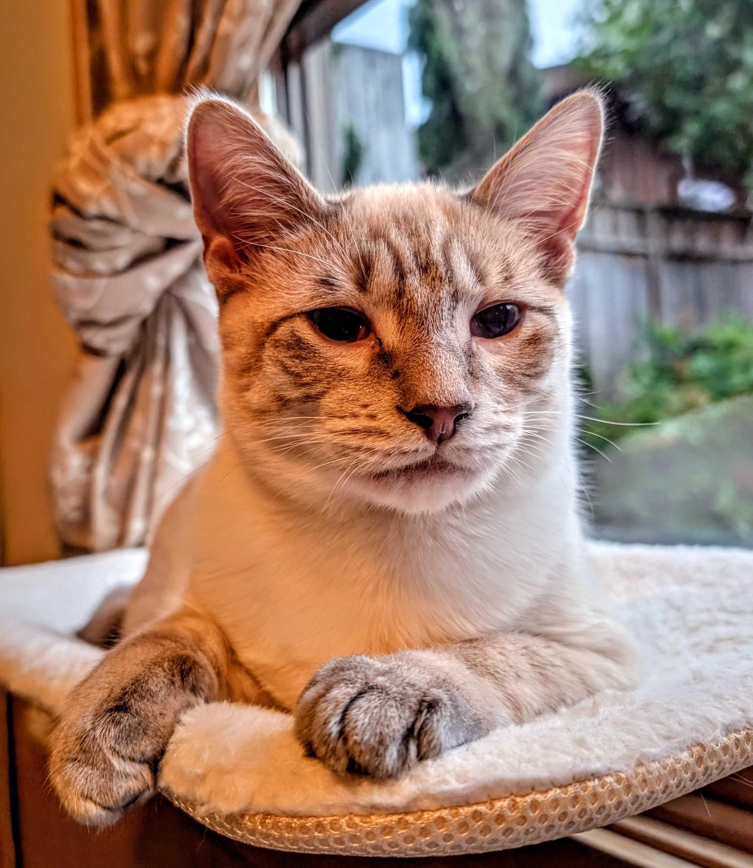 Tempestas and Cronus