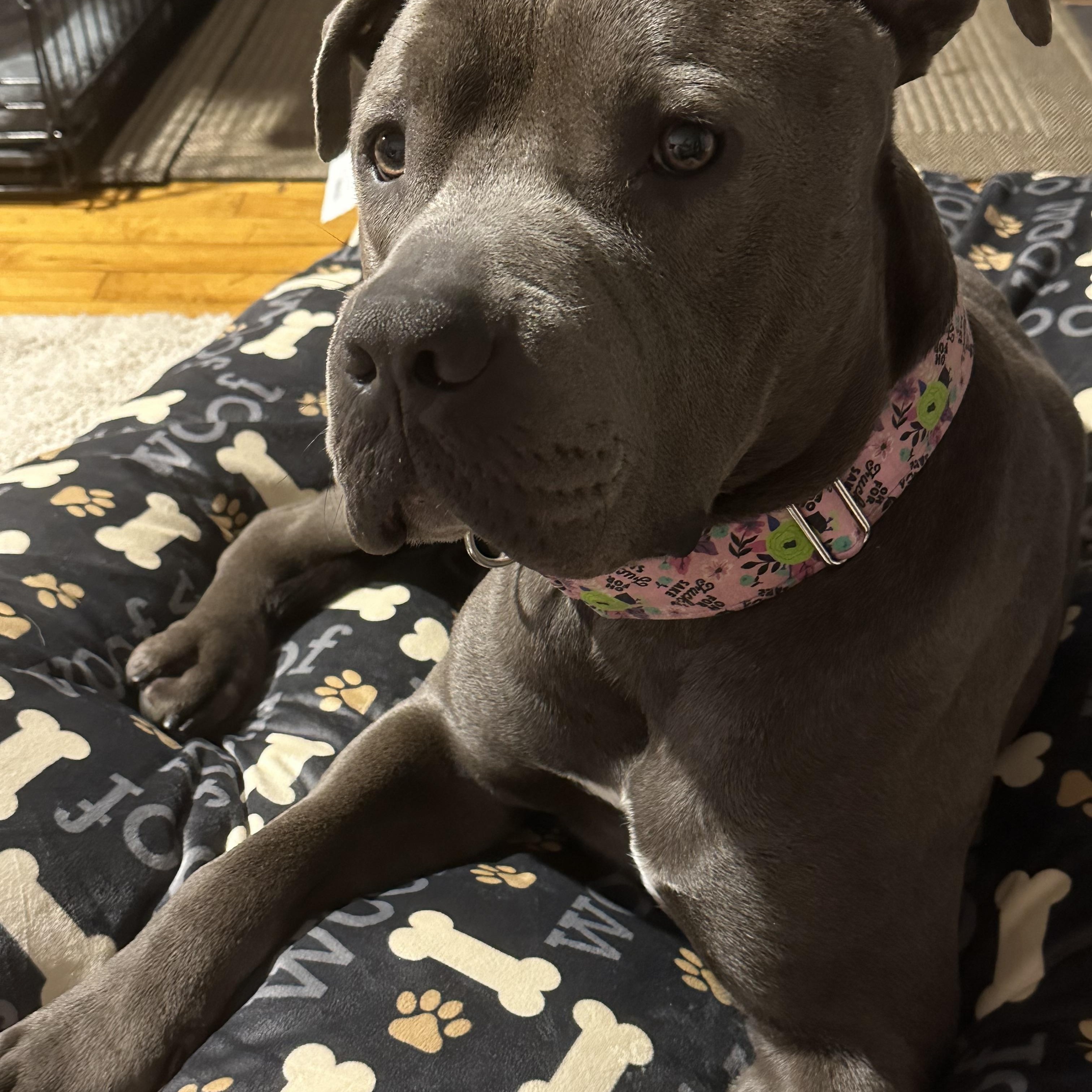 Pewter