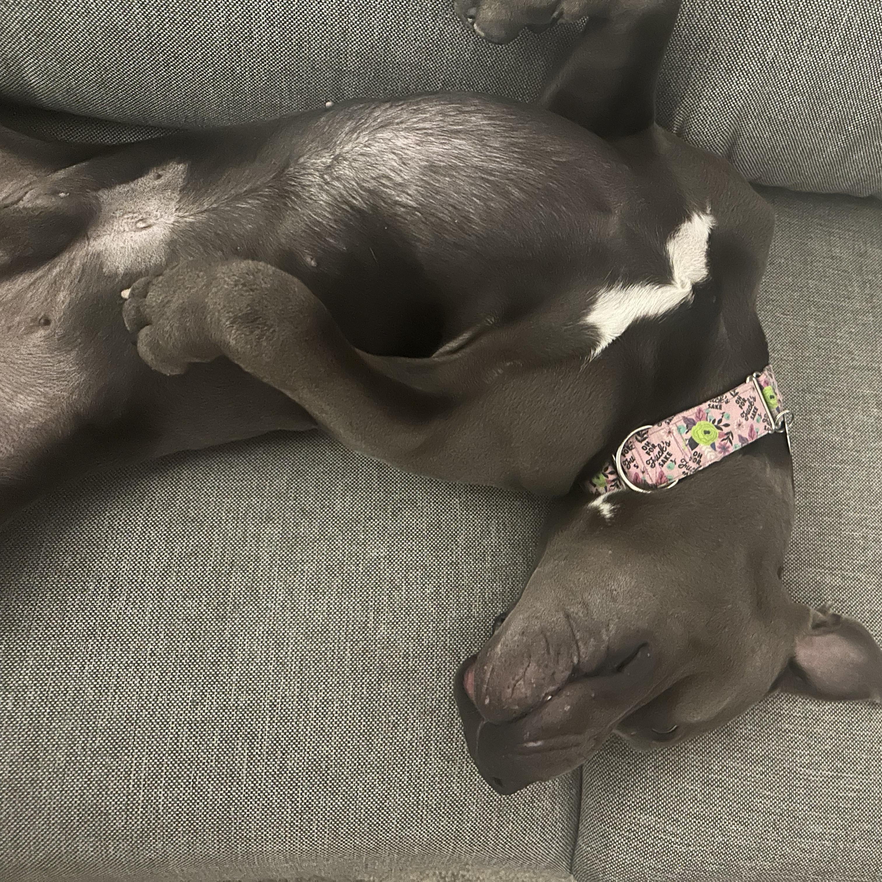 Pewter