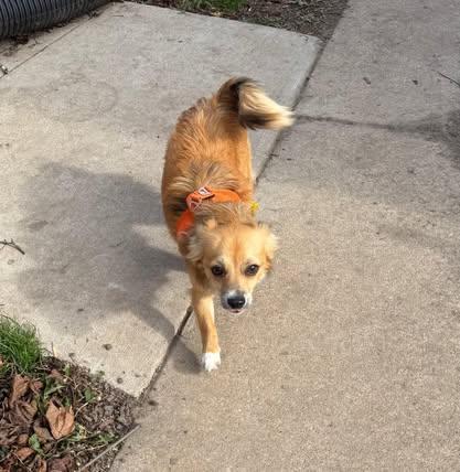 Reilly (was Patrick)