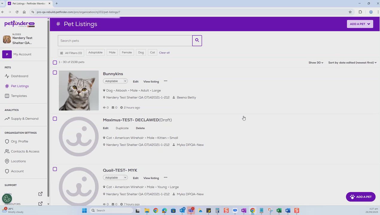 Enlarge Libby - FOR TESTING - Not Adoptable, a ADOPTABLE American Curl in Bettles, AK video 1/6
