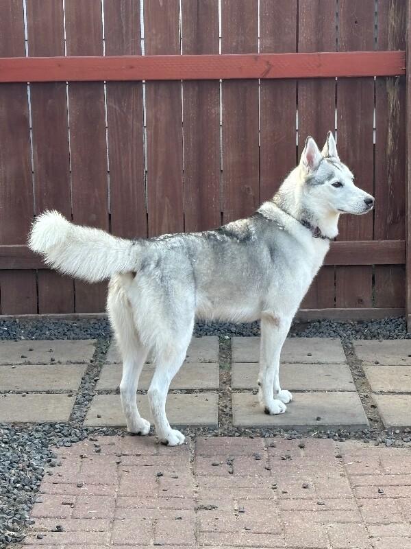 Madame Cleo is your future