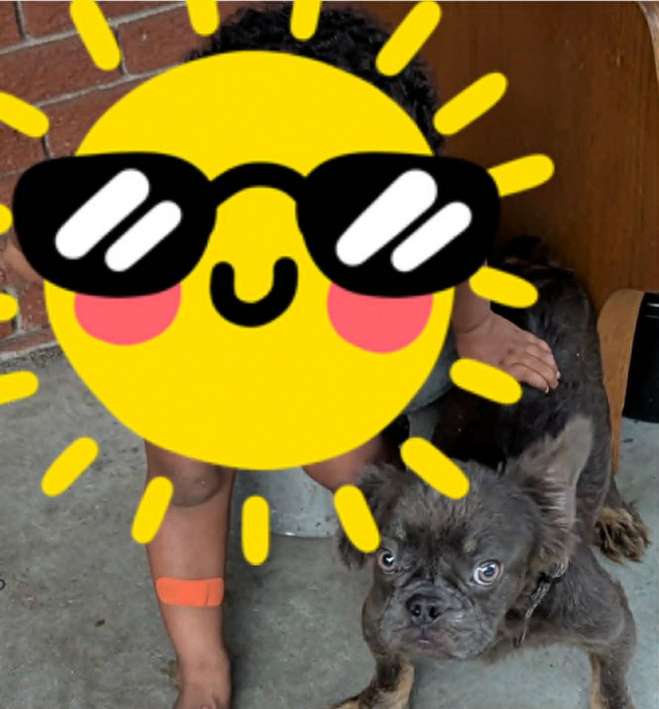 Enlarge Clover/MAXX, a ADOPTABLE mixed breed in Jesup, GA image 4/4