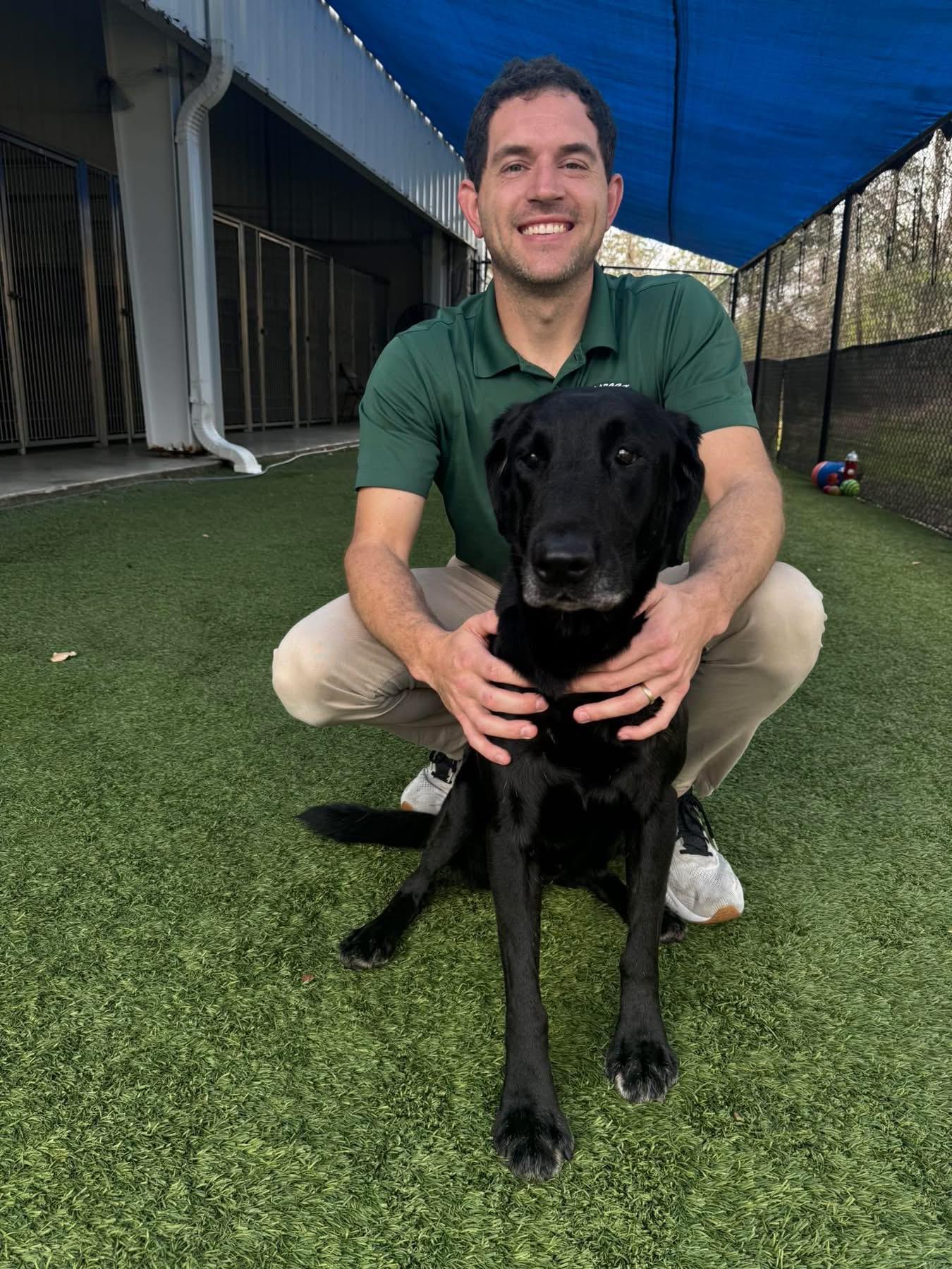 Enlarge Blue, a ADOPTABLE Black Labrador Retriever in Baker, LA image 2/3