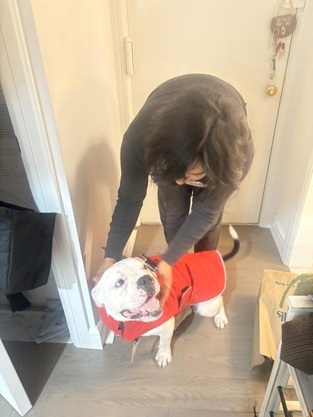 Charcoal thumbnail 3