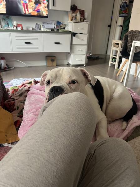 Charcoal thumbnail 4