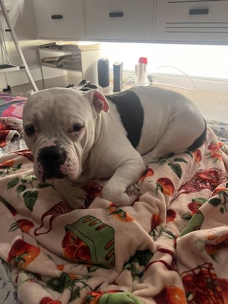 Charcoal thumbnail 5