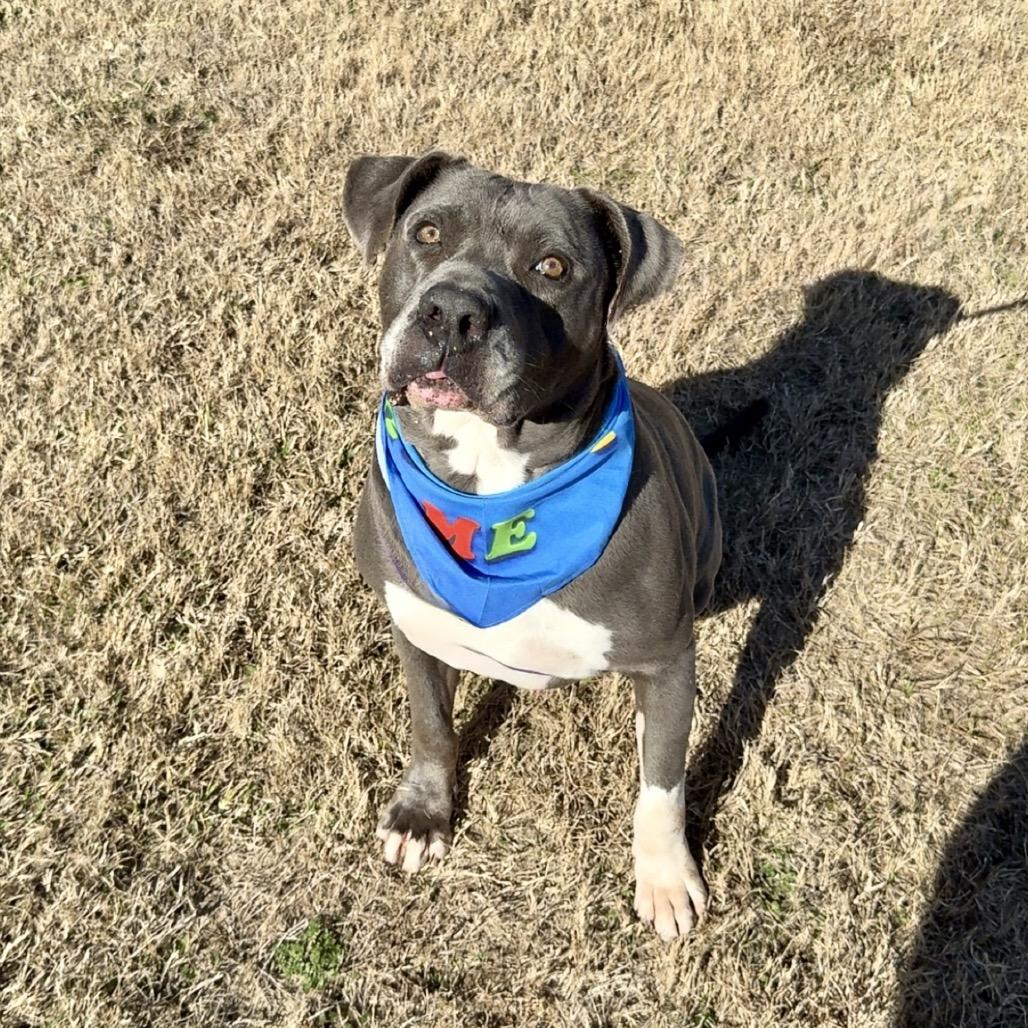 Volkswagen — thumbnail 6