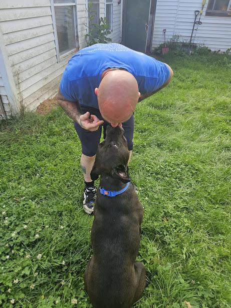 Madysen, a Adoptable mixed breed in Clinton, ME image 2/6