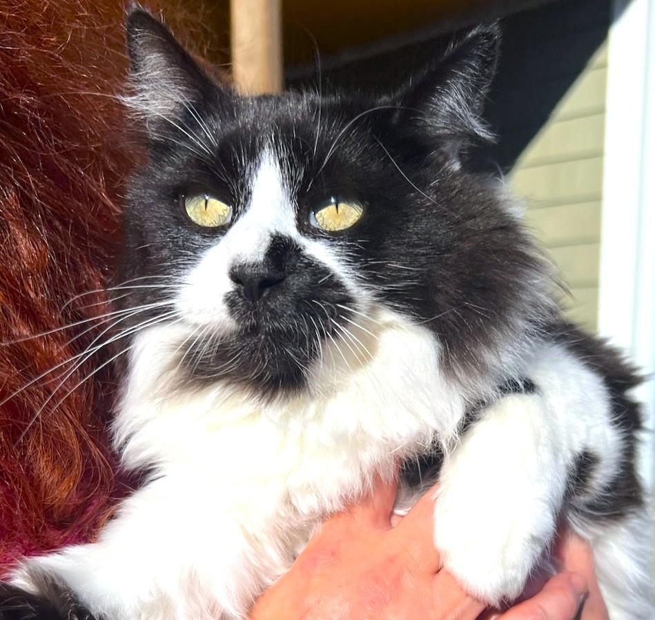 FLUFFY, CUDDLY JADA!