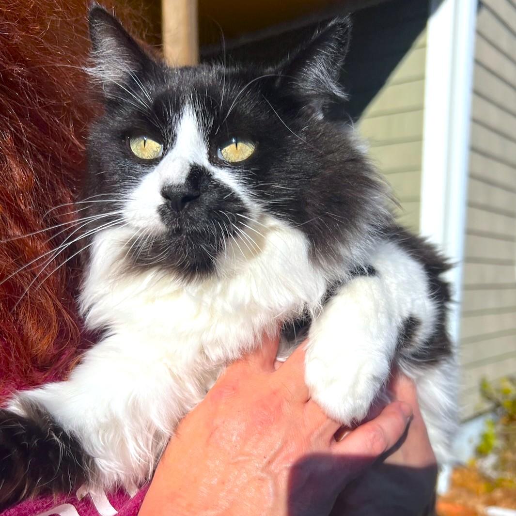 FLUFFY, CUDDLY JADA!