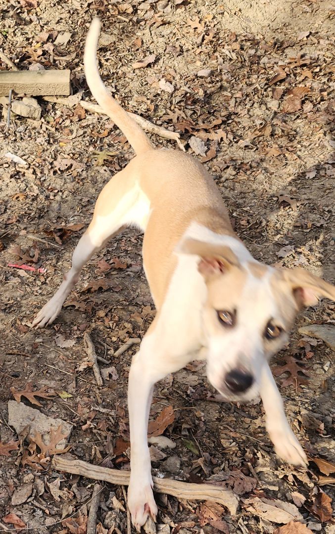 Trudy photo 2