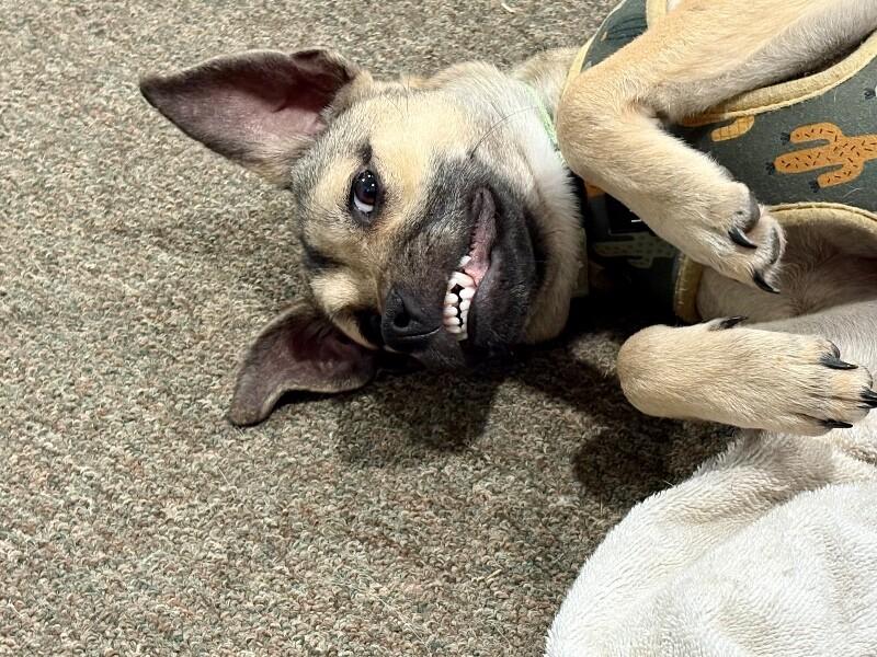 Cash Prize The Jackpot of Joy