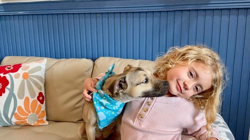 Cash Prize The Jackpot of Joy — thumbnail 3