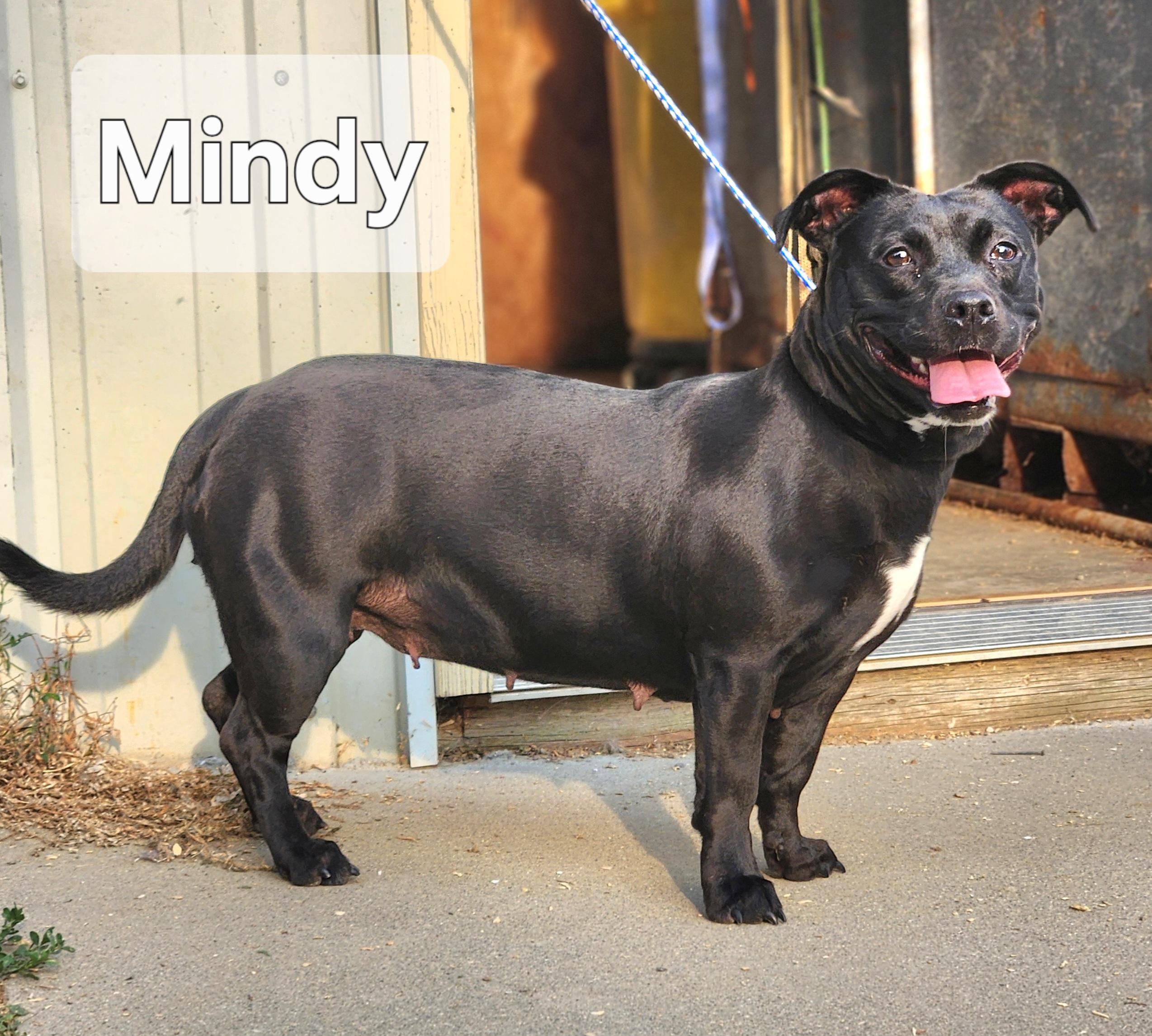 Mindy, Young Female unknown