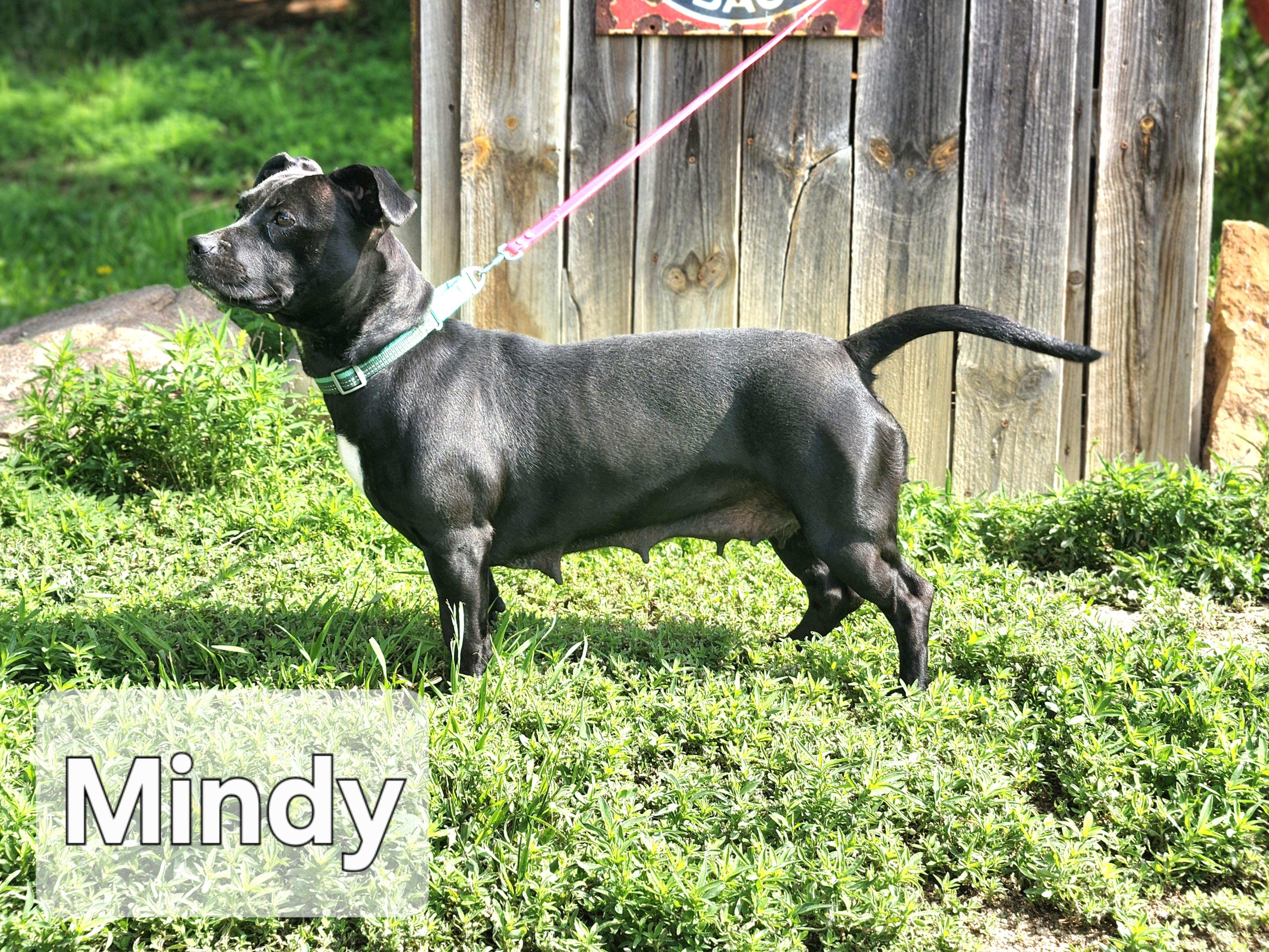 Mindy, Young Female unknown
