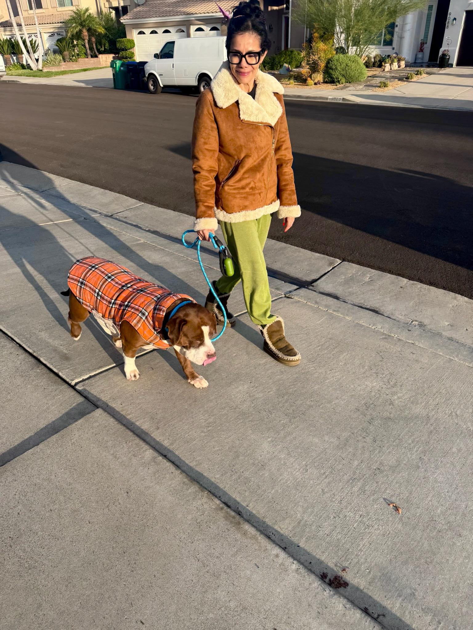 Enlarge Doug, a Adoptable Staffordshire Bull Terrier in santa monica, CA image 4/5