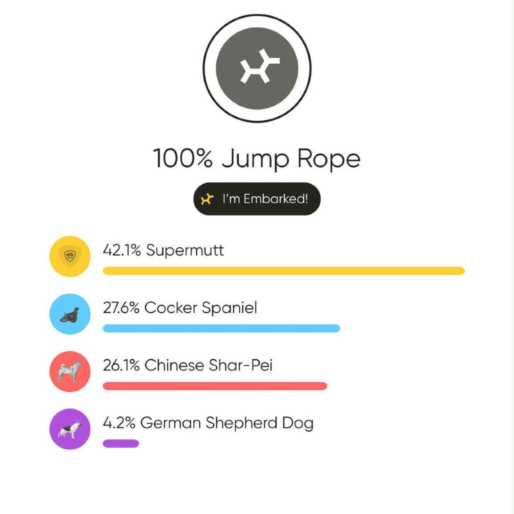 Enlarge Jump Rope, a Adoptable mixed breed in Chicago, IL image 3/4