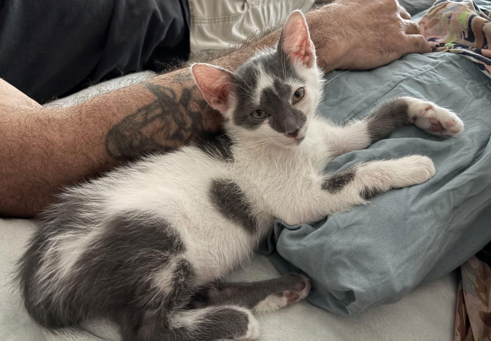 Benny — thumbnail 2