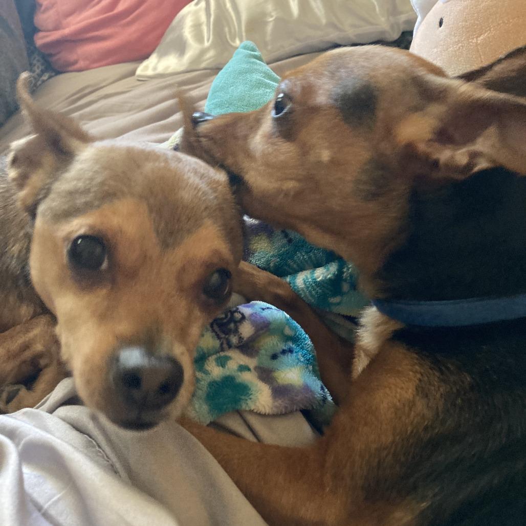 Cosmic — thumbnail 2